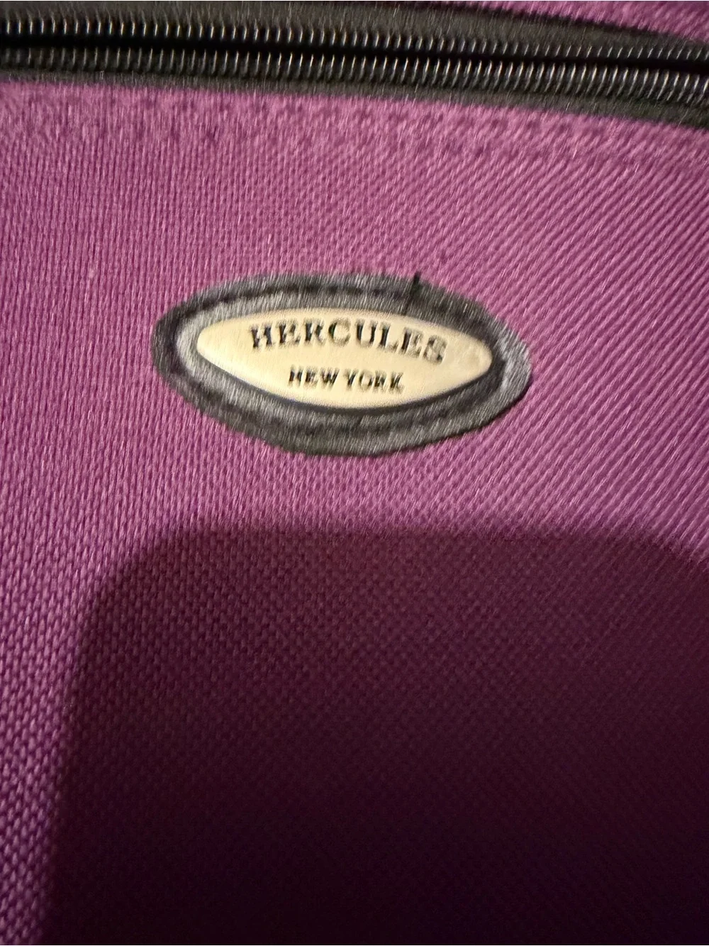 Purple Hercules lunch Bag